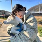 Seulgi Instagram – 애교많고 사랑둥이인 짜장이와 룽지의
가족이 되어주실분을 찾습니다❤️ ❤️

#동물농장