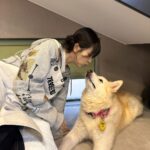 Seulgi Instagram – 동물농장❤️
오복이와 진돌이 바비 강산이 순이 룽지 짜장이 보고싶어!!!🥹🥹