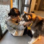 Seulgi Instagram – 동물농장❤️
오복이와 진돌이 바비 강산이 순이 룽지 짜장이 보고싶어!!!🥹🥹