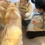 Seulgi Instagram – 동물농장❤️
오복이와 진돌이 바비 강산이 순이 룽지 짜장이 보고싶어!!!🥹🥹