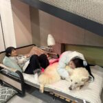 Seulgi Instagram – 동물농장❤️
오복이와 진돌이 바비 강산이 순이 룽지 짜장이 보고싶어!!!🥹🥹