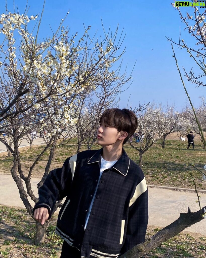 Seungkwan Instagram - April shower🩵