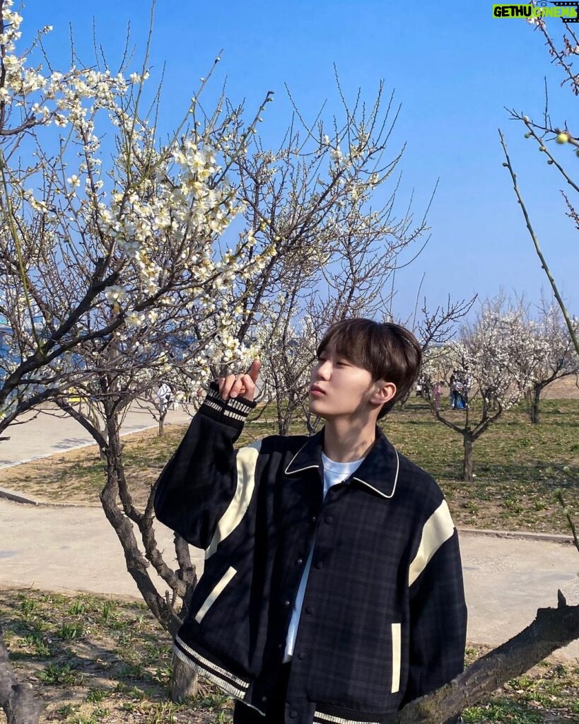 Seungkwan Instagram - April shower🩵