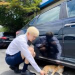 Seungkwan Instagram - 잘 잤냐옹😽