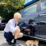 Seungkwan Instagram - 잘 잤냐옹😽
