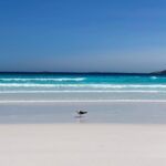 Shalom Brune-Franklin Instagram – Beach drive + swim + picnic = 🥲 Lucky Bay
