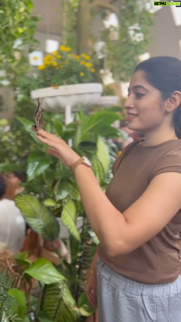 Shambhavy gurumoorthy Instagram - 🦋 #samandprasi #trendingreels #instagood #insta #instadaily #happiness #butterflies #butterflygarden #love #loveyourself #couplegoals #couplevloggers #instalove #instatravel #dubai🇦🇪 #dubailife #vacation #nature #happyday Dubai Butterfly Garden