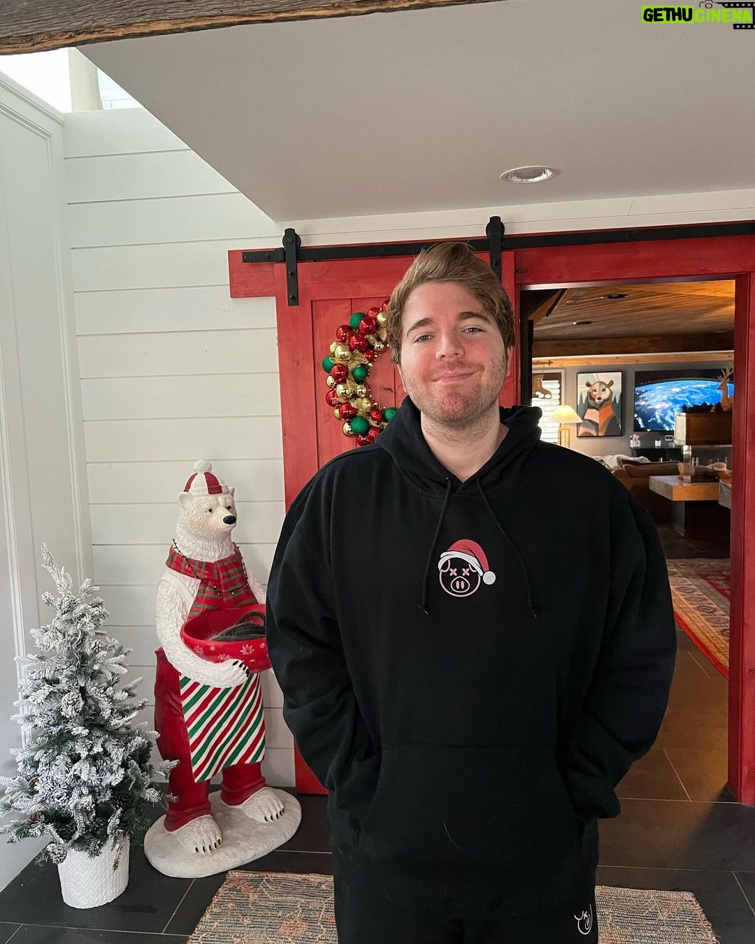 Shane Dawson Instagram - I never know how to pose or not look uncomfortable while taking pictures but here’s a few that I don’t completely hate. new Christmas pig santa merch is out now! :) 🐷🎄❤️ link in bio (also many more outtakes from this “shoot” on my IG stories)