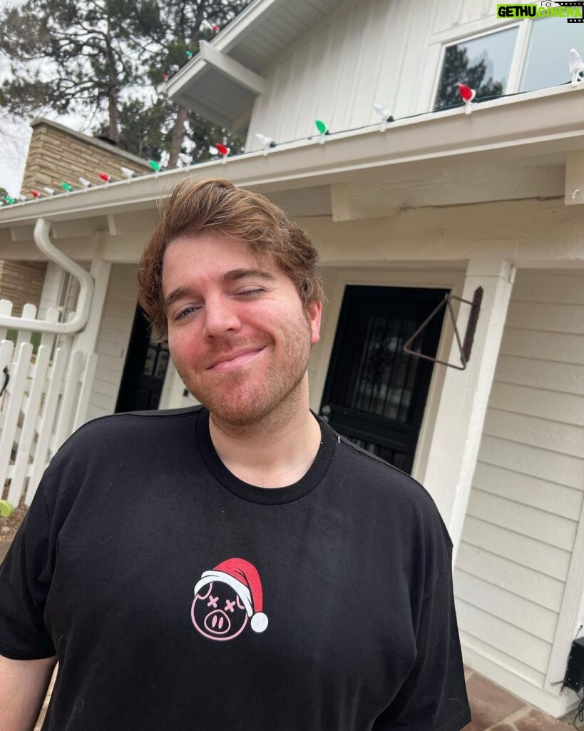 Shane Dawson Instagram - I never know how to pose or not look uncomfortable while taking pictures but here’s a few that I don’t completely hate. new Christmas pig santa merch is out now! :) 🐷🎄❤️ link in bio (also many more outtakes from this “shoot” on my IG stories)