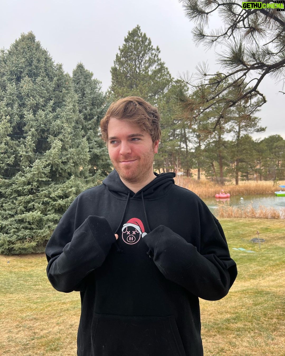 Shane Dawson Instagram - I never know how to pose or not look uncomfortable while taking pictures but here’s a few that I don’t completely hate. new Christmas pig santa merch is out now! :) 🐷🎄❤️ link in bio (also many more outtakes from this “shoot” on my IG stories)