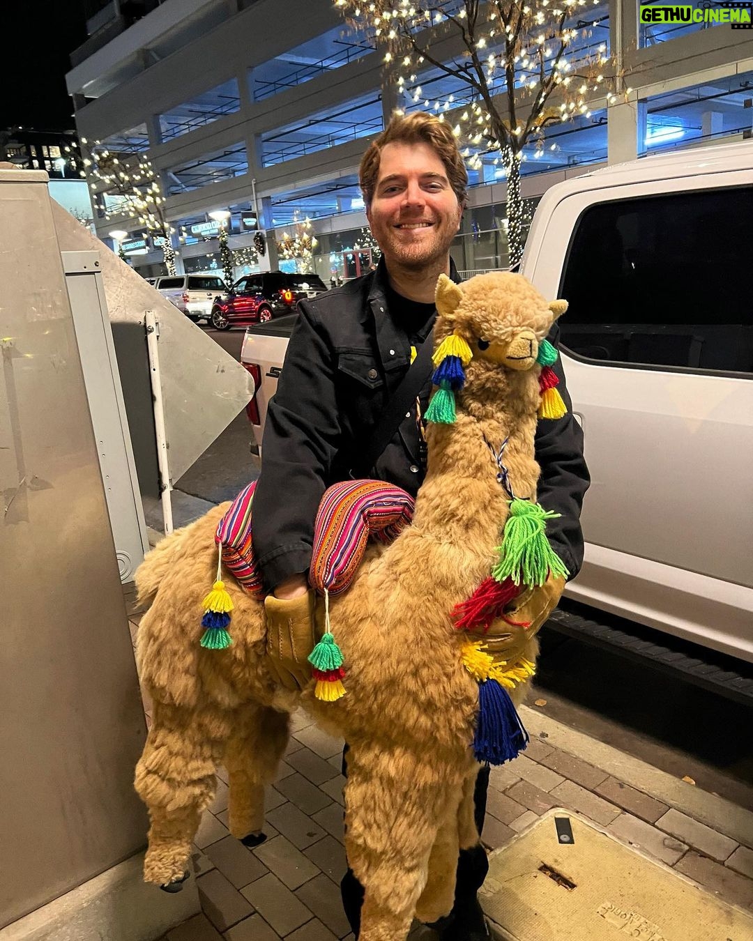 Shane Dawson Instagram - Proud Pappa 🦙🎄 Denver, Colorado