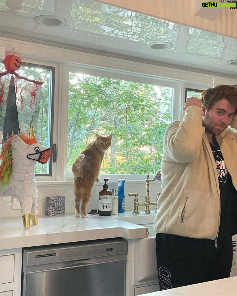 Shane Dawson Instagram - He always catches me contemplating. Also I’m aware my sweater looks like a couch and I’m comfortable with that.