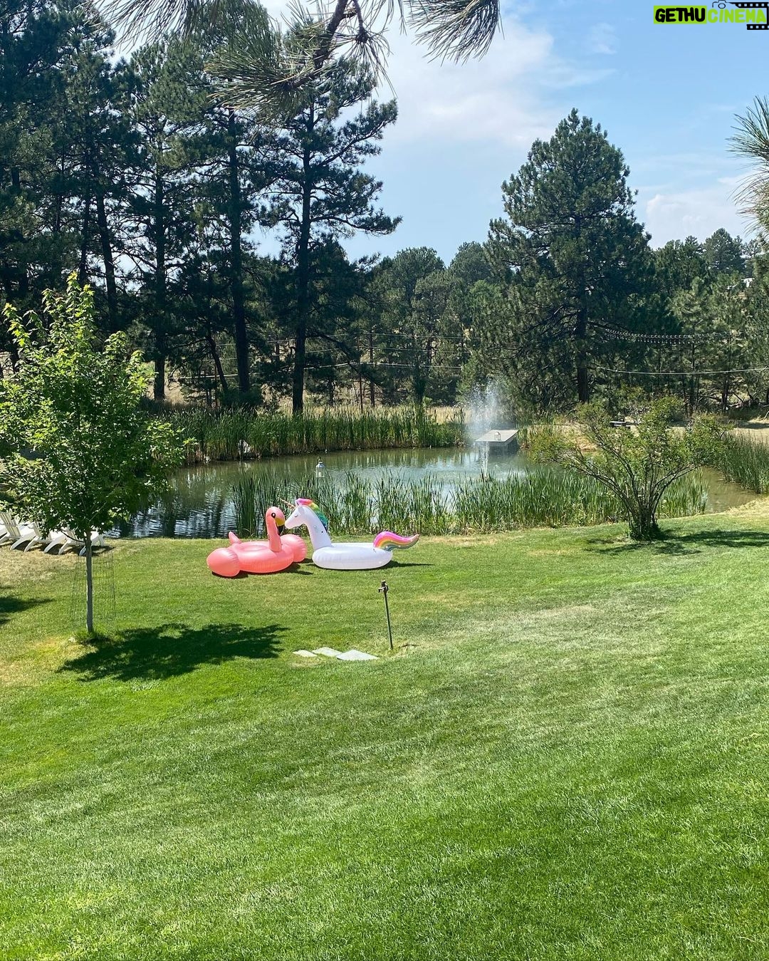 Shane Dawson Instagram - My first photo dump is a collection of some of my favorite moments from moving to Colorado last week. My dream life as a kid was to one day live on a farm surrounded by animals and to be married to my best friend. This move has definitely gotten me closer to that :,)🖼❤️