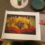 Shane Dawson Instagram - Charlie, for 11 years you brought so much love and so much protection to my family. You took care of me during some very hard times in my life. You kept my mom safe when I moved out and you became the man of the house and made sure she was never lonely. I love you so much Charlie and I’m so grateful God brought you into my families life. I will think about you everyday. We love you so much. ❤️