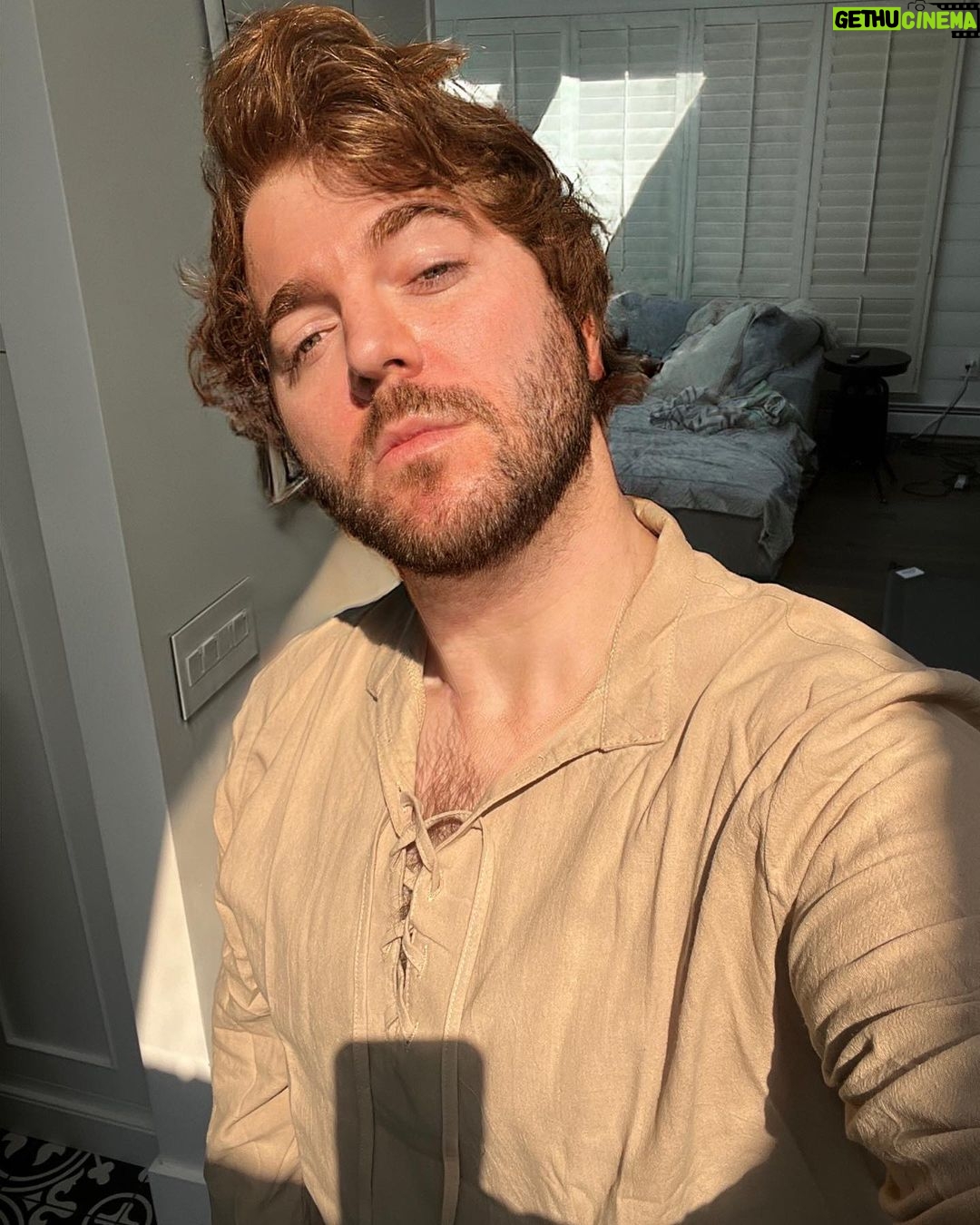 Shane Dawson Instagram - Weekend was weird 😮💨🦙💖snap/LOLShaneDawson