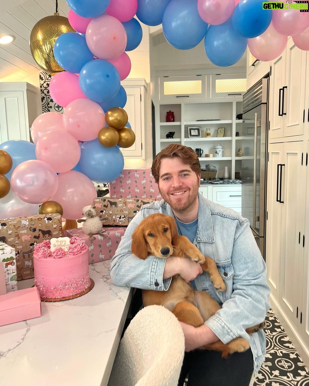 Shane Dawson Instagram - The best Birthday ever :,)❤️This is Riley Adams Dawson, code name RAD! We love her so much already!! I can’t wait for you to meet her! Her personality is funny and I’m so proud of her every time she does literally anything. Is this what 34 feels like?