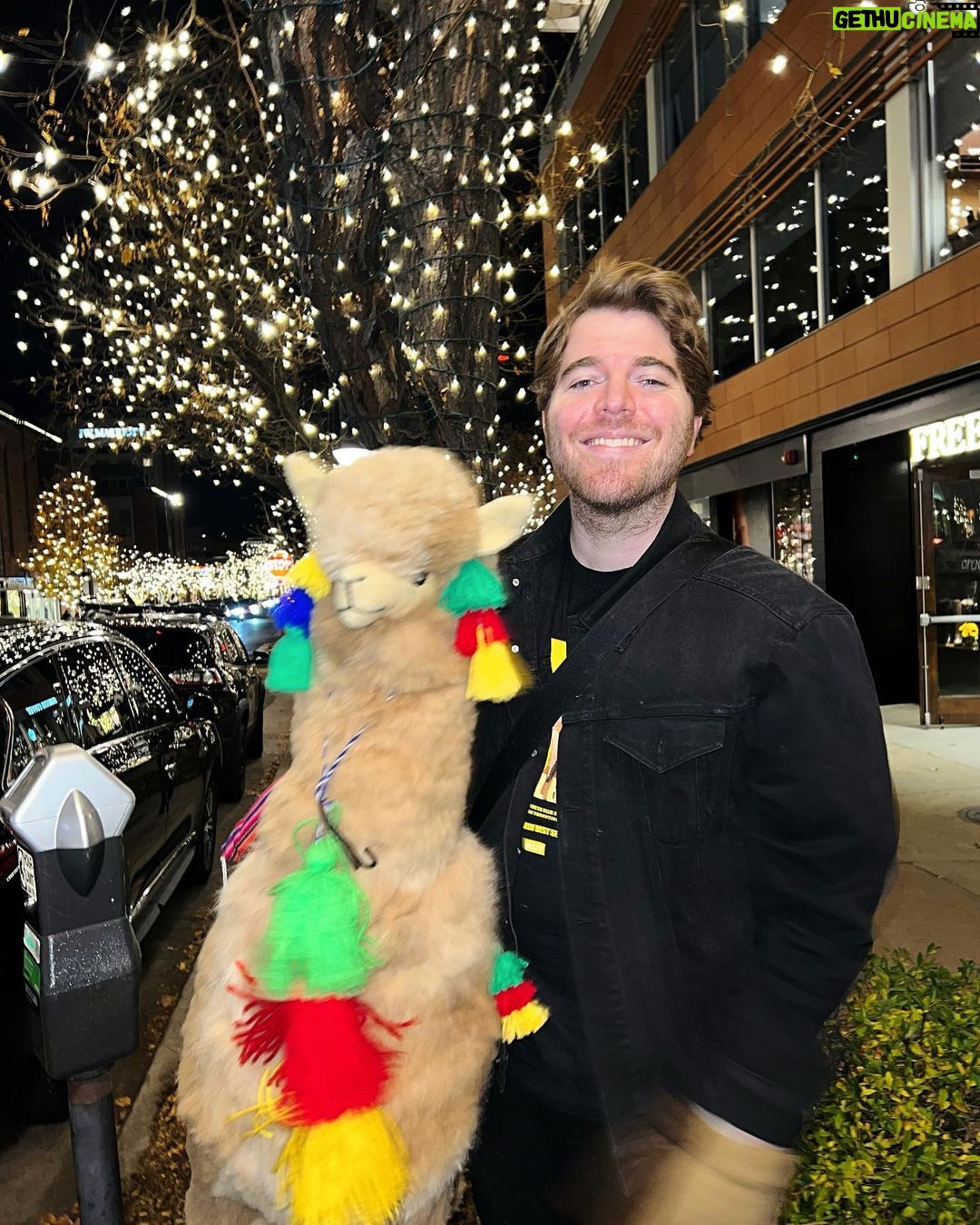 Shane Dawson Instagram - Proud Pappa 🦙🎄 Denver, Colorado