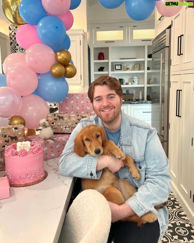 Shane Dawson Instagram - 35. Feeling very grateful ❤️ also swipe to see our girl 1 year ago today. My heart. :,)