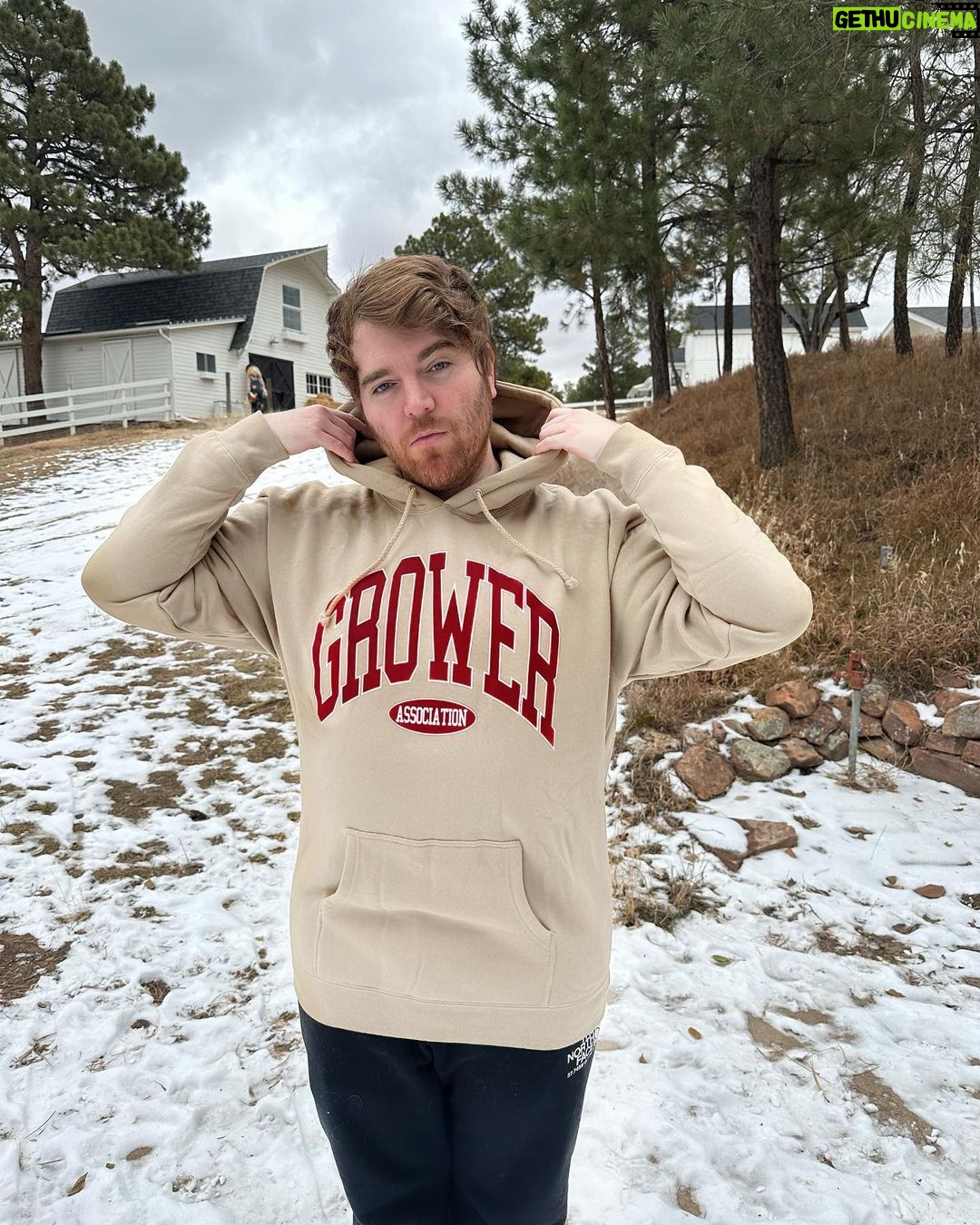 Shane Dawson Instagram - Well, at least I’m honest❤️ 🙌🏻 Black Friday Merch Out Now! Link In Bio! If you don’t watch the pod these designs might not make sense. Or they make PERFECT sense because the GROWERS of the world have always needed an association and I’m proud to give them one. 🙏🏻