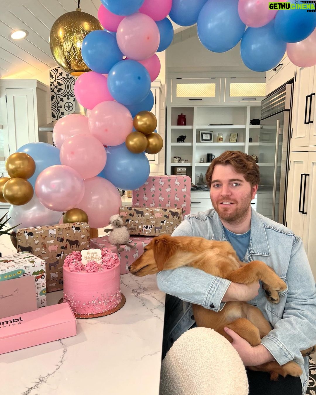 Shane Dawson Instagram - The best Birthday ever :,)❤️This is Riley Adams Dawson, code name RAD! We love her so much already!! I can’t wait for you to meet her! Her personality is funny and I’m so proud of her every time she does literally anything. Is this what 34 feels like?