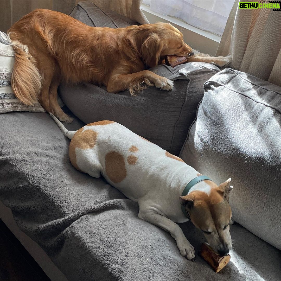 Shane Veryzer Instagram - New bone, who dis?