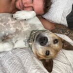 Shane Veryzer Instagram - Moeiversary #rescuedog #moemoebear