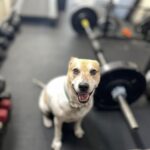 Shane Veryzer Instagram - Thread.