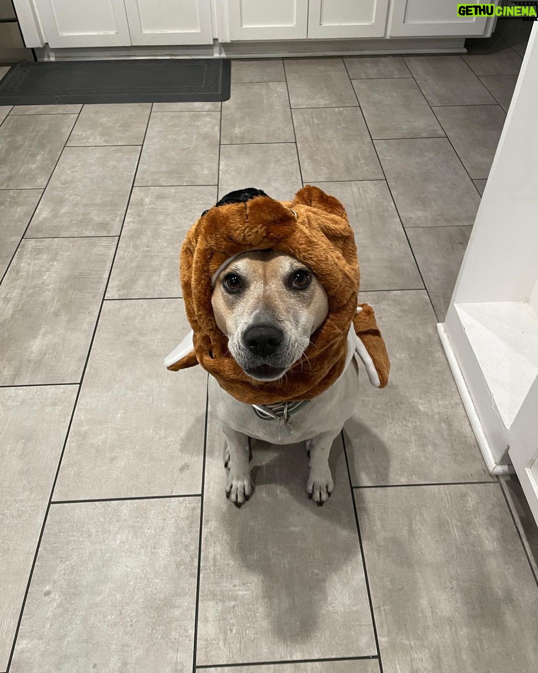 Shane Veryzer Instagram - Moe-bear so spooky.