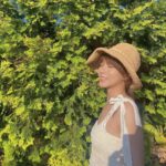 Shang-Fei Wang Instagram - 🌳🌳🌳💛💛💛