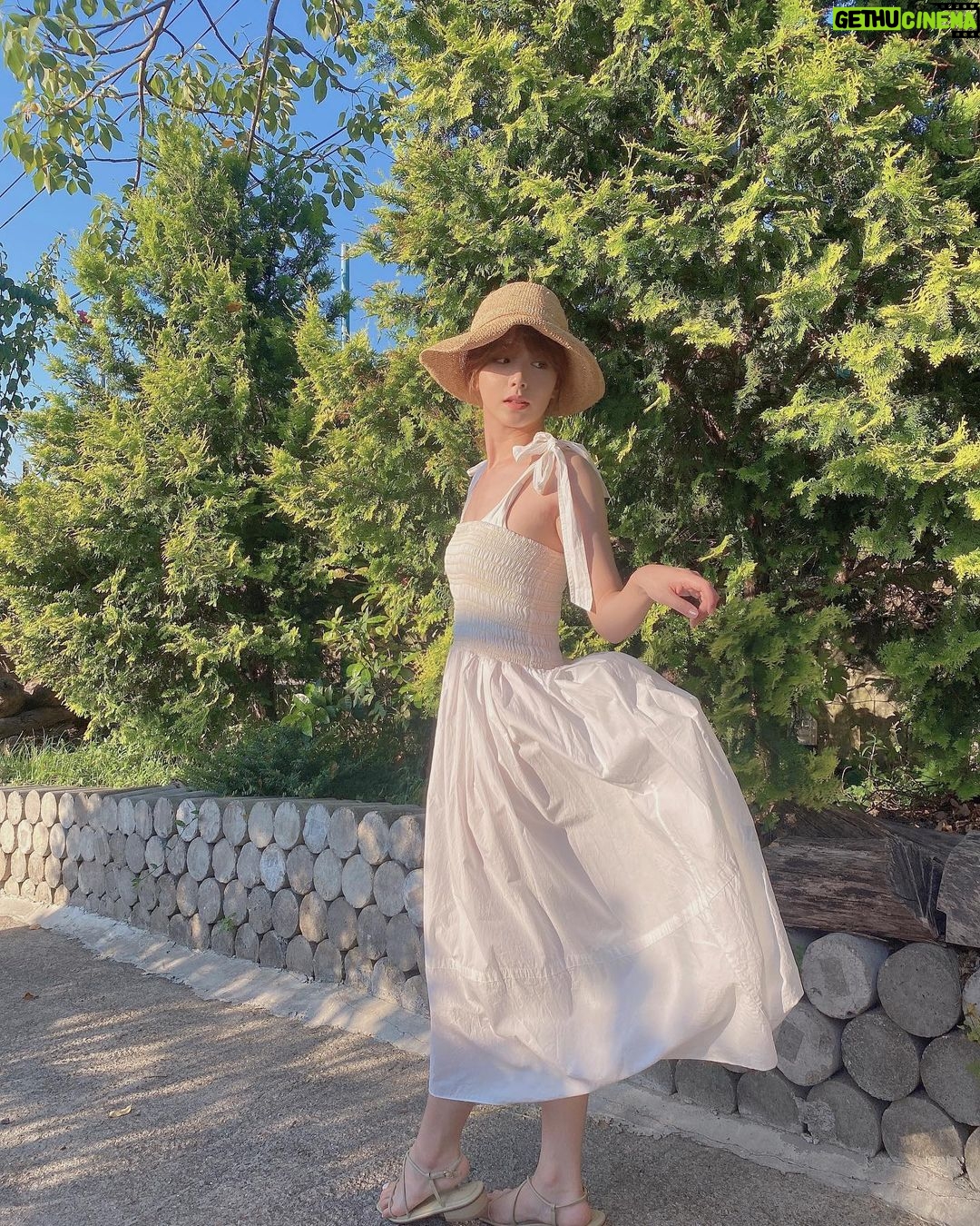 Shang-Fei Wang Instagram - 🌳🌳🌳💛💛💛