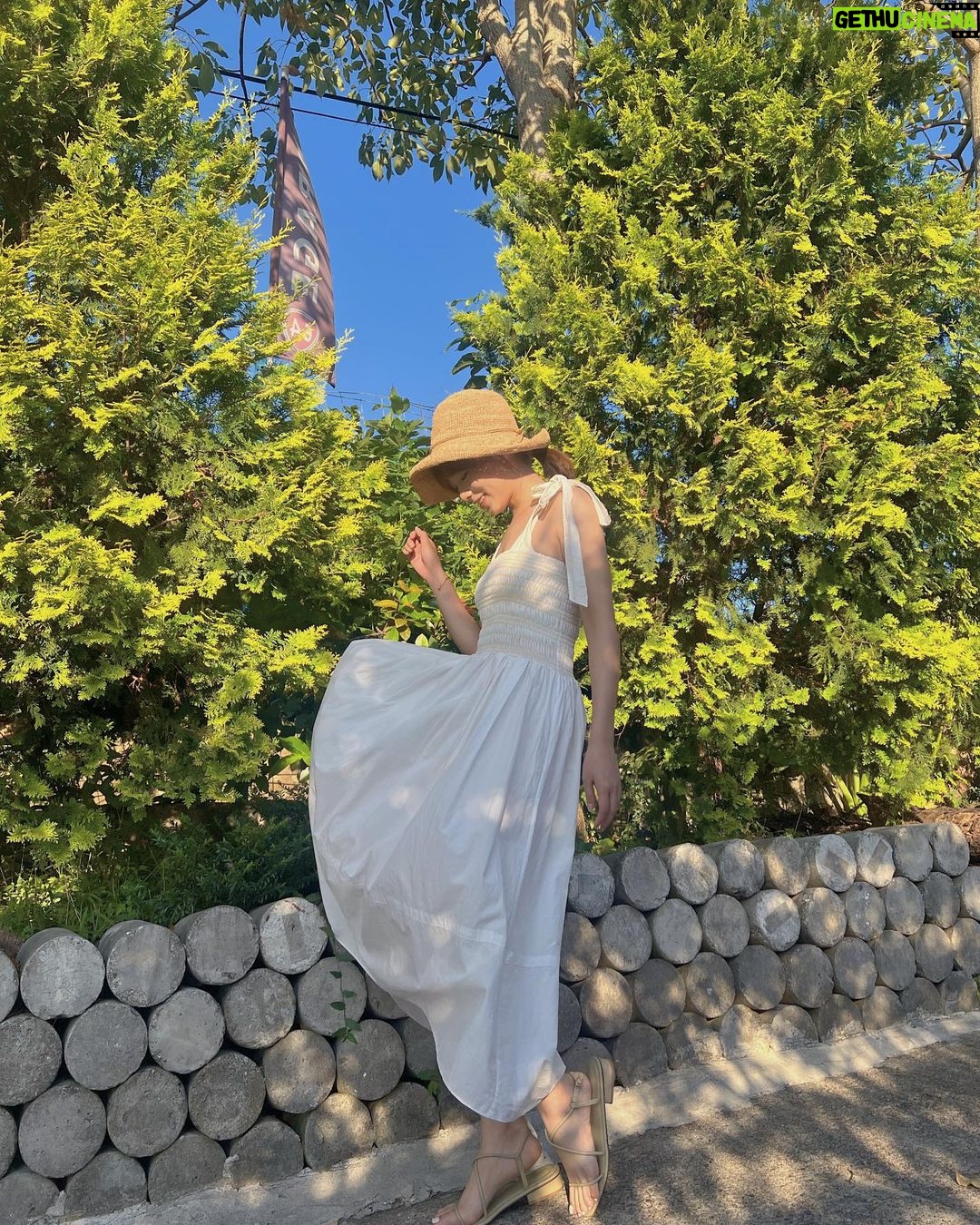 Shang-Fei Wang Instagram - 🌳🌳🌳💛💛💛