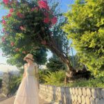 Shang-Fei Wang Instagram - 🌳🌳🌳💛💛💛