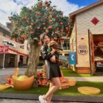 Shang-Fei Wang Instagram - 過年要到了🫶 我跟荳荳先預祝大家新年快樂～🐶 Shoes @amaitw