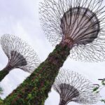 Shannon Dang Instagram - A few tourism moments inspired by @visit_singapore . Thank you @stb_sg !!! Singapore