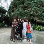 Shannon Dang Instagram - A few tourism moments inspired by @visit_singapore . Thank you @stb_sg !!! Singapore