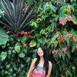 Shannon Dang Instagram - 🪷Gardens by the Bay🪷 @visit_singapore Gardens By the Bay, Singapore