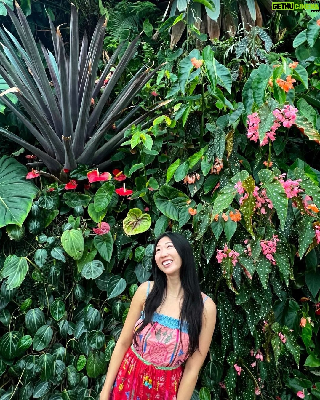 Shannon Dang Instagram - 🪷Gardens by the Bay🪷 @visit_singapore Gardens By the Bay, Singapore