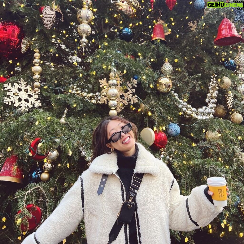 Shannon Dang Instagram - Some festive, some cozy.