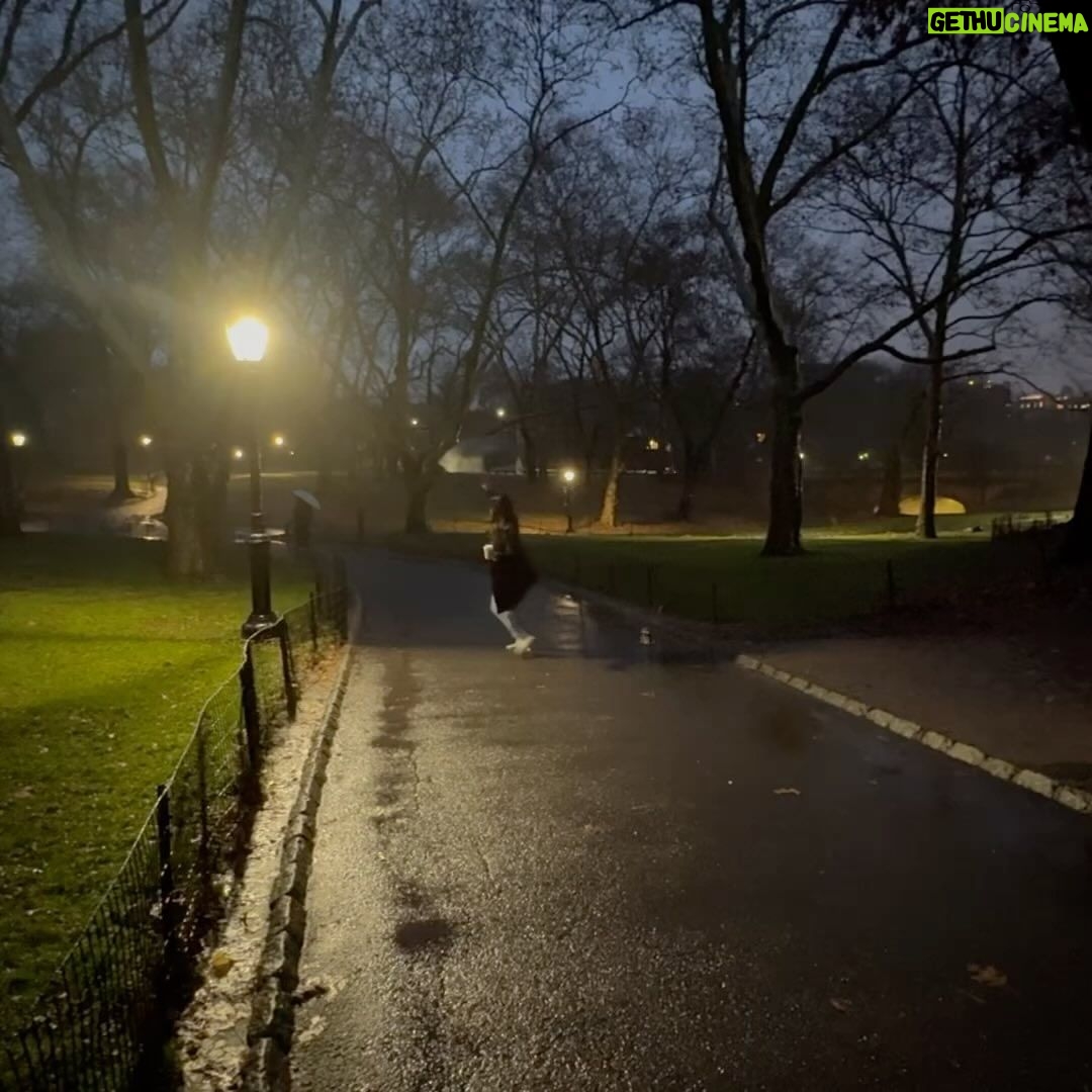 Shannon Dang Instagram - Some festive, some cozy.
