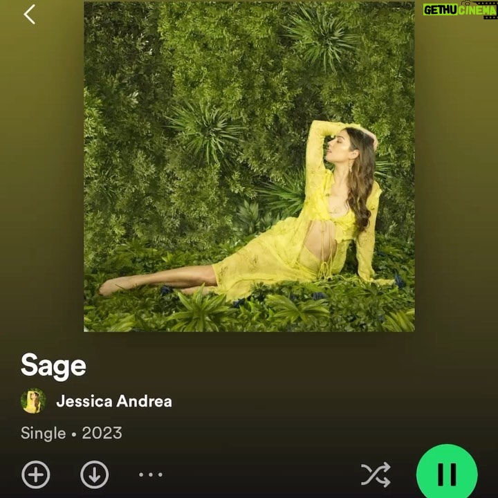 Shannon Dang Instagram - Recent Snippets: When music, friends, and self expression are sparking big big joy🫶🏼 Real talk though, I find it incredibly moving to see people share their gifts of self expression and passion. The joy it brings is contagious! A reminder to share those gifts when you can :)