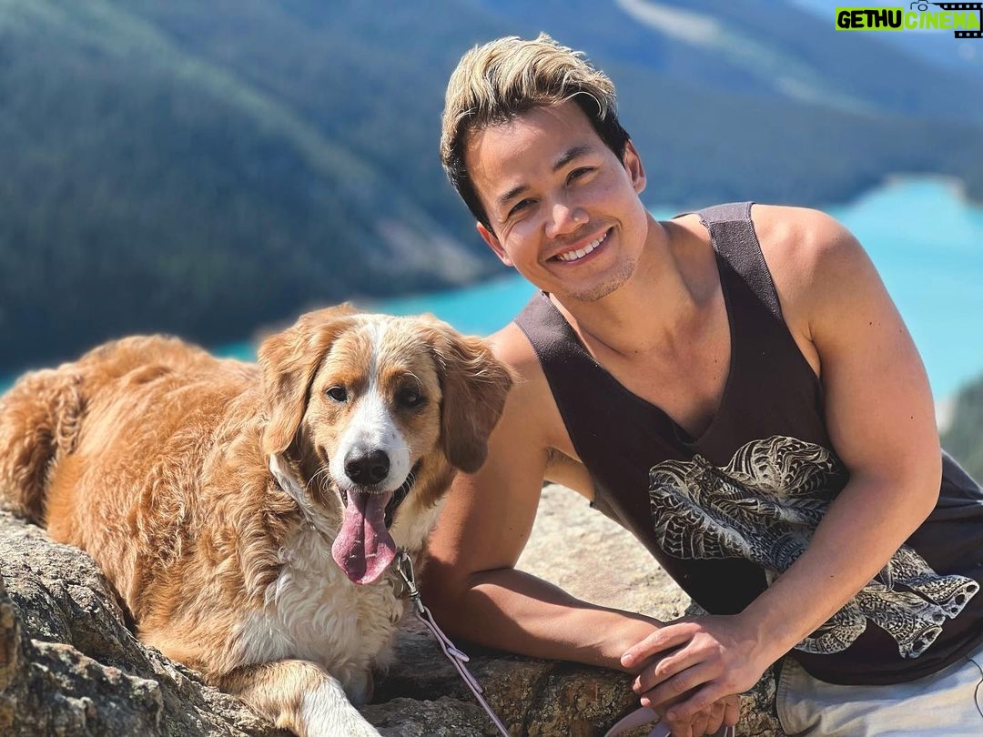 Shannon Kook Instagram - Beginning a Summer full of traveling 💛. Taking in the mountains and magic of Banff with loved ones at the moment. Vancouver Island, South Africa, Mauritius and DC are also on the agenda. Thankful to take a few months during the Hollywood writers strike and fill my soul reconnecting to my roots, family, and a journey of some self-discovery. Peyto Lake Lookout-Banff Nat'l Park