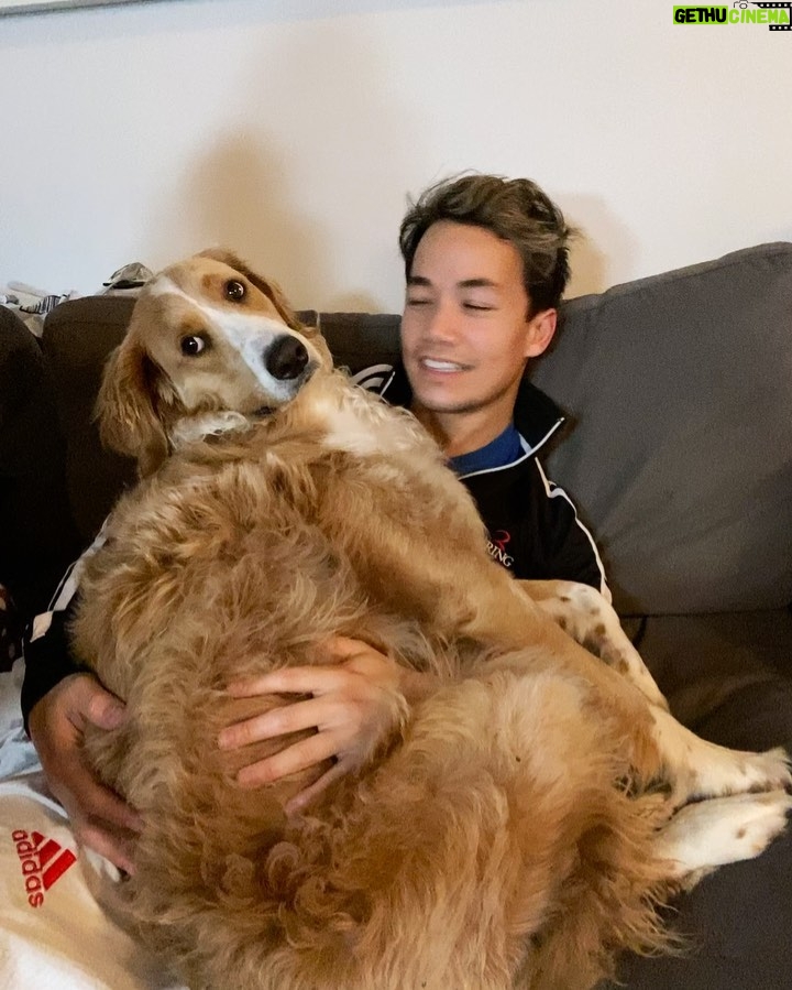 Shannon Kook Instagram - Rainy days & cuddles. Just back from Taekwondo - I think @nala_minibernedoodle missed me ☺️ #bernedoodle #bernedoodlesofinstagram #dogdadlife #bernedoodlelove #bernedoodles #netflixandchillwithmydog #theconjuring3 Vancouver, British Columbia