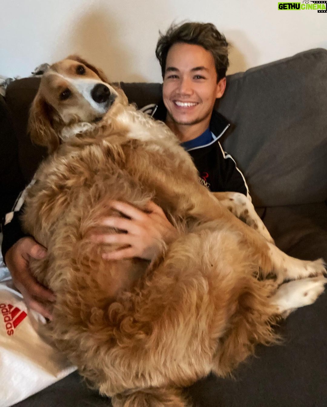 Shannon Kook Instagram - Rainy days & cuddles. Just back from Taekwondo - I think @nala_minibernedoodle missed me ☺️ #bernedoodle #bernedoodlesofinstagram #dogdadlife #bernedoodlelove #bernedoodles #netflixandchillwithmydog #theconjuring3 Vancouver, British Columbia