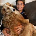 Shannon Kook Instagram - Rainy days & cuddles. Just back from Taekwondo - I think @nala_minibernedoodle missed me ☺️ #bernedoodle #bernedoodlesofinstagram #dogdadlife #bernedoodlelove #bernedoodles #netflixandchillwithmydog #theconjuring3 Vancouver, British Columbia