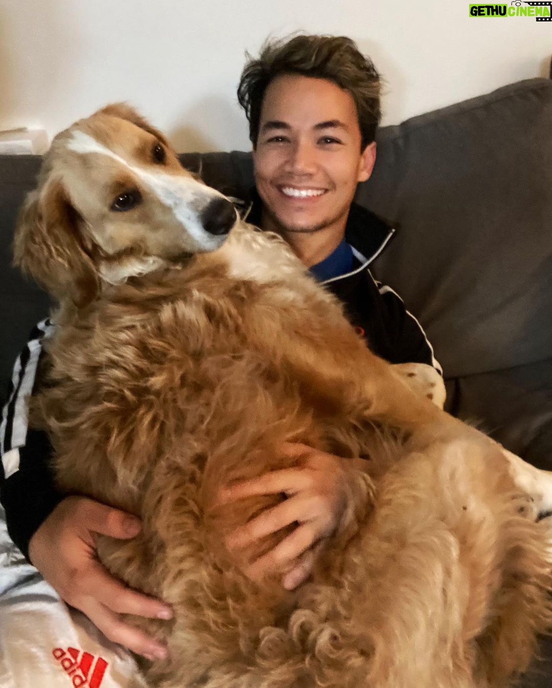 Shannon Kook Instagram - Rainy days & cuddles. Just back from Taekwondo - I think @nala_minibernedoodle missed me ☺️ #bernedoodle #bernedoodlesofinstagram #dogdadlife #bernedoodlelove #bernedoodles #netflixandchillwithmydog #theconjuring3 Vancouver, British Columbia
