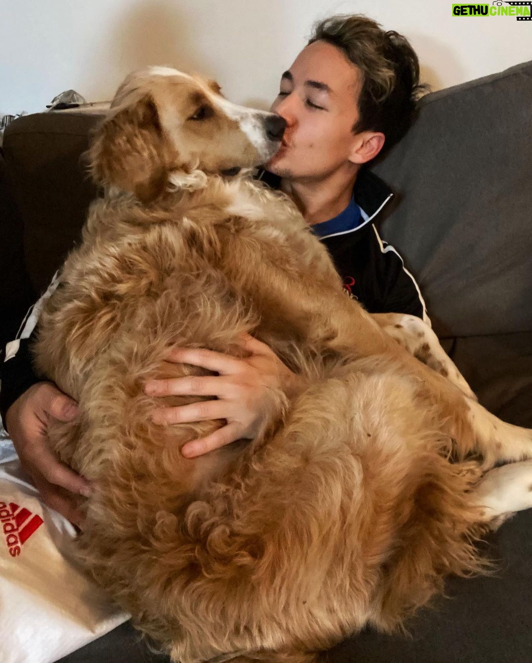 Shannon Kook Instagram - Rainy days & cuddles. Just back from Taekwondo - I think @nala_minibernedoodle missed me ☺️ #bernedoodle #bernedoodlesofinstagram #dogdadlife #bernedoodlelove #bernedoodles #netflixandchillwithmydog #theconjuring3 Vancouver, British Columbia