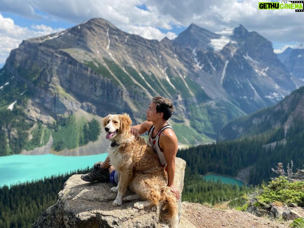 Shannon Kook Instagram - These photos are unedited. And it’s much better in person 😮 @nala_minibernedoodle ⛰ 🇨🇦 ⛰ #LakeLouise #LittleBeehive #littlebeehivelookout #littlebeehivetrail #littlebeehivehike Little Beehive Lookout