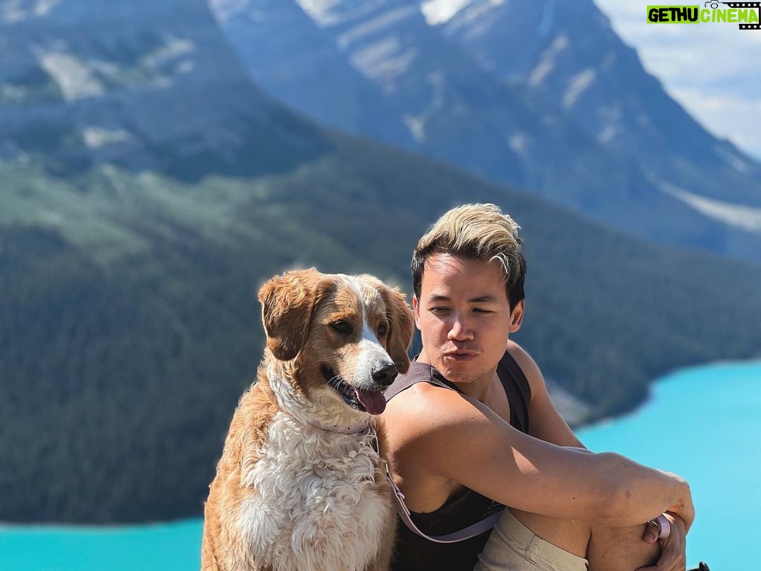Shannon Kook Instagram - Beginning a Summer full of traveling 💛. Taking in the mountains and magic of Banff with loved ones at the moment. Vancouver Island, South Africa, Mauritius and DC are also on the agenda. Thankful to take a few months during the Hollywood writers strike and fill my soul reconnecting to my roots, family, and a journey of some self-discovery. Peyto Lake Lookout-Banff Nat'l Park