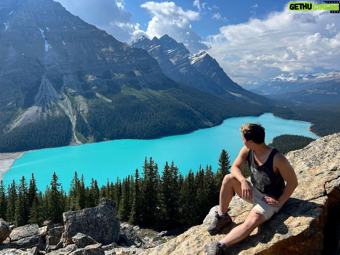 Shannon Kook Instagram - Beginning a Summer full of traveling 💛. Taking in the mountains and magic of Banff with loved ones at the moment. Vancouver Island, South Africa, Mauritius and DC are also on the agenda. Thankful to take a few months during the Hollywood writers strike and fill my soul reconnecting to my roots, family, and a journey of some self-discovery. Peyto Lake Lookout-Banff Nat'l Park