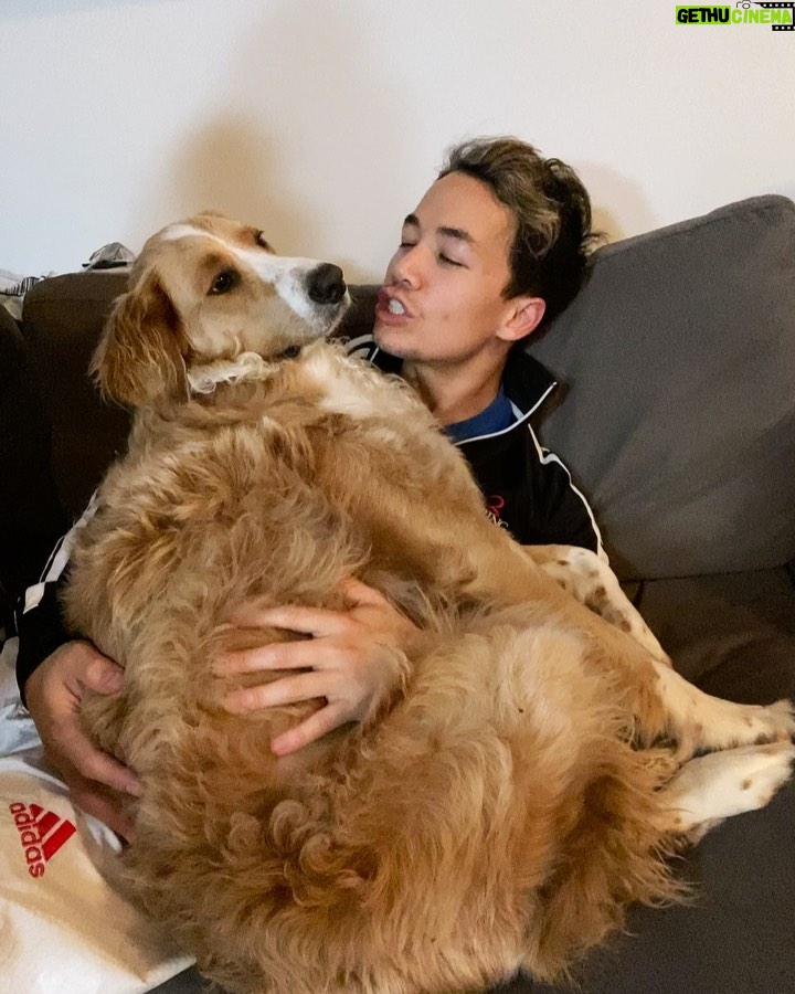 Shannon Kook Instagram - Rainy days & cuddles. Just back from Taekwondo - I think @nala_minibernedoodle missed me ☺️ #bernedoodle #bernedoodlesofinstagram #dogdadlife #bernedoodlelove #bernedoodles #netflixandchillwithmydog #theconjuring3 Vancouver, British Columbia